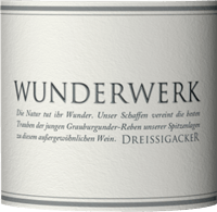 Wunderwerk Grauburgunder trocken - Dreissigacker