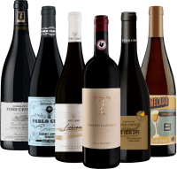 Organic Wine Award-prämierte Weine - 6x Probierpaket
