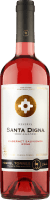 12er Vorteils-Weinpaket Santa Digna Rosé - Miguel Torres Chile
