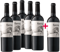 5+1 Vorteils-Weinpaket Fuerza Jumilla - Ego Bodegas