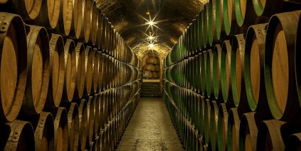 Im Barriquekeller von Marques de Riscal