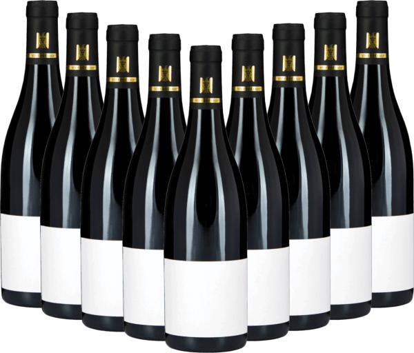 9x Vorteils-Weinpaket Fellbacher Trollinger SINE trocken - Aldinger